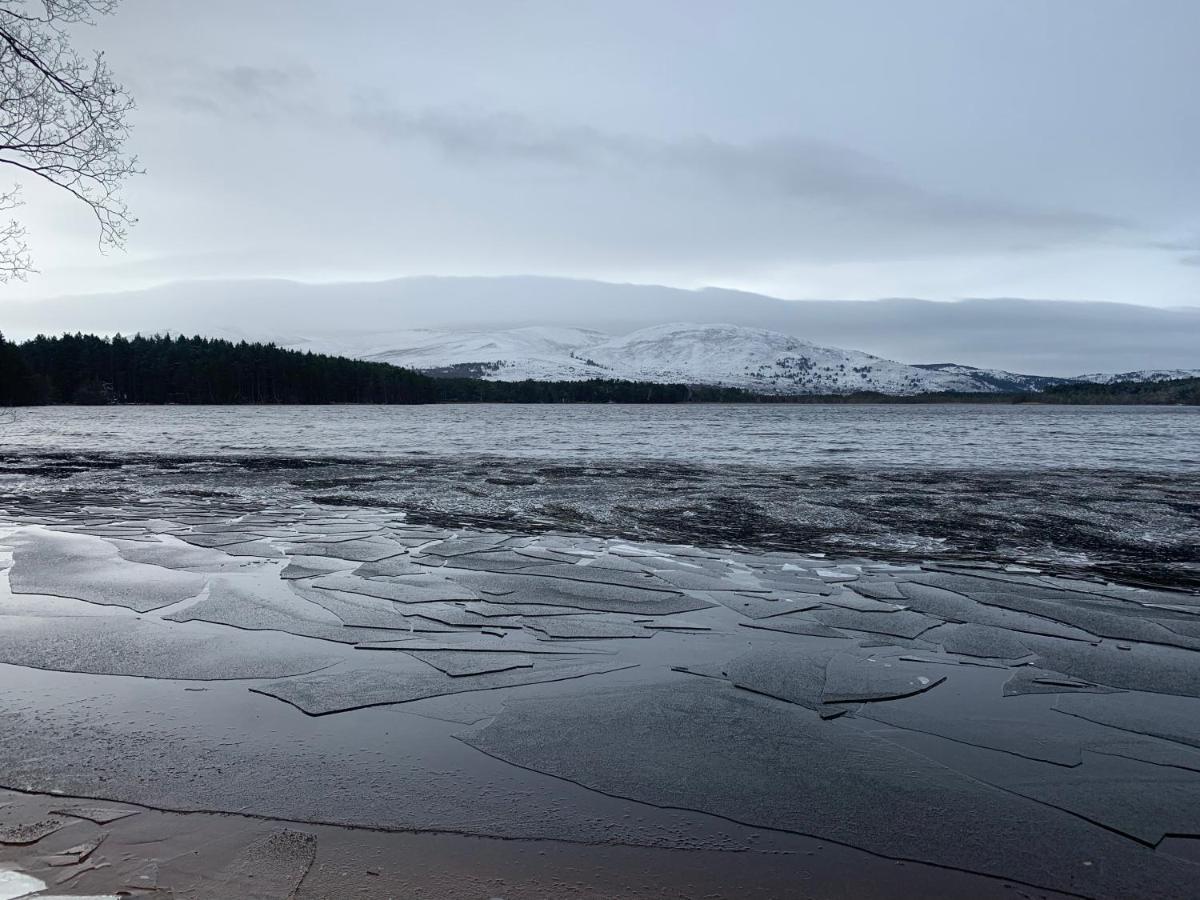 The One - Chalet In The Cairngorms Boat of Garten Bagian luar foto